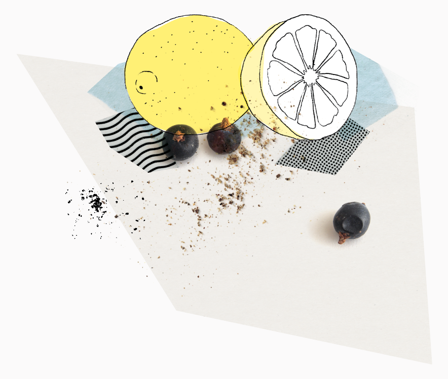 Illustration-zitrone-handgemacht